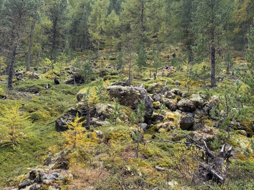 2-kutschenfahrt-09.jpg