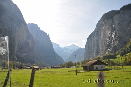 DSC_0321.jpg