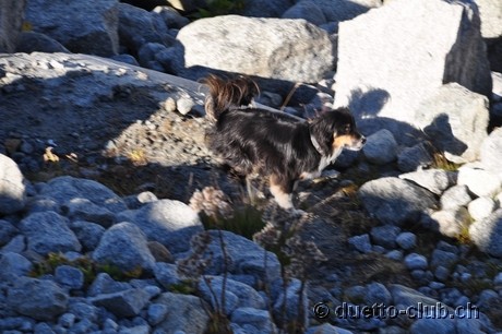 DSC_0026.jpg