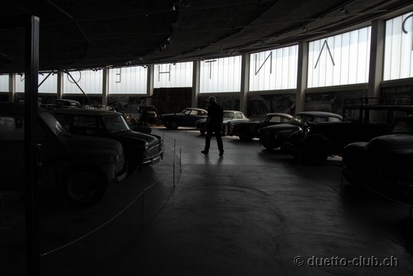 DSC_6687.jpg