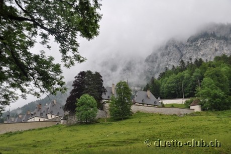 DSC_0260.jpg
