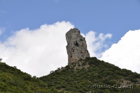 DSC_0720.jpg