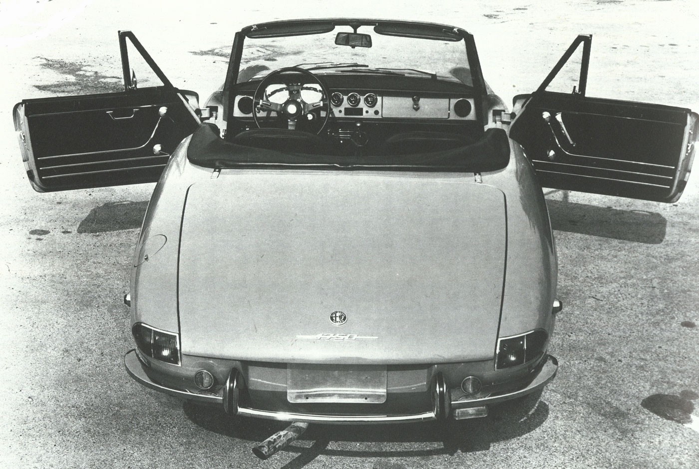 spider1750-5.jpg
