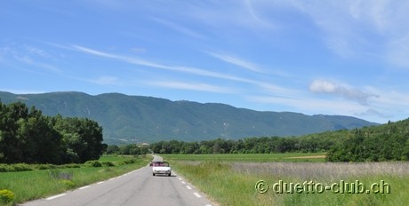 DSC_0530.jpg