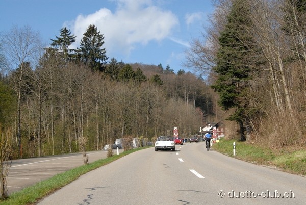 DSC_6632.jpg