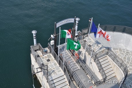 DSC_0132.jpg