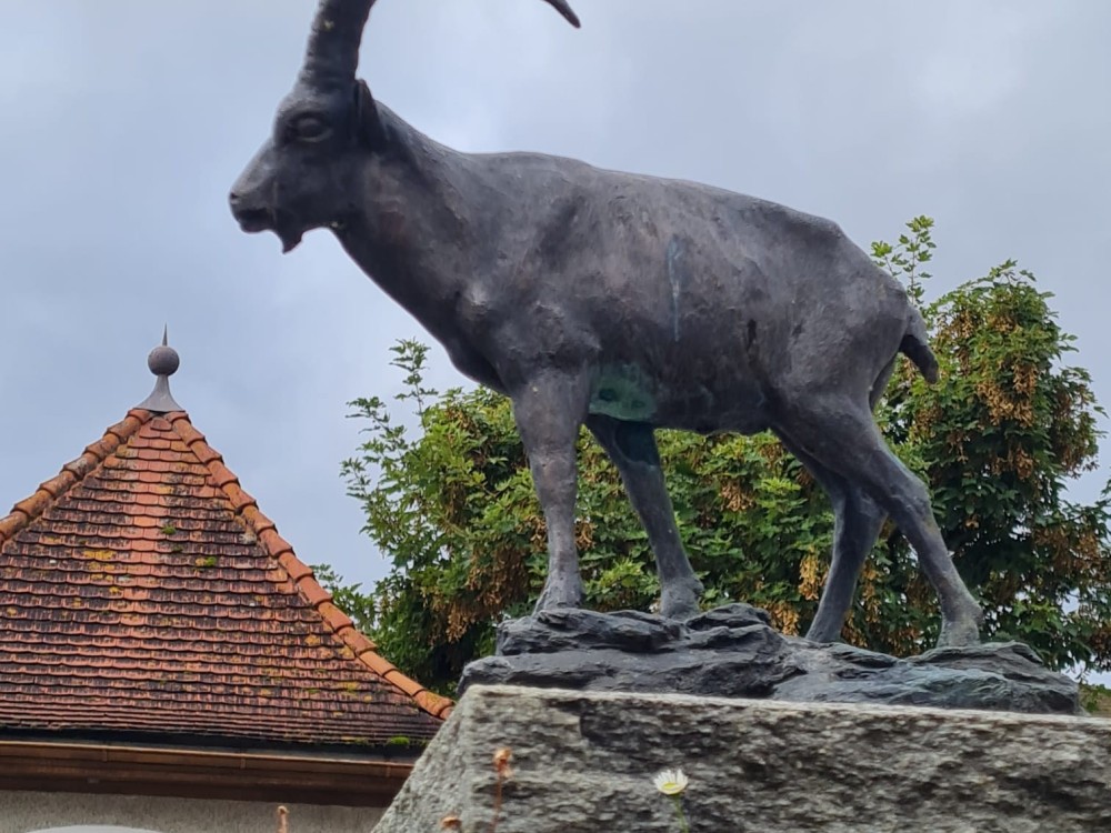 6-fuhrung-3.jpg