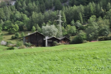 DSC_0120.jpg