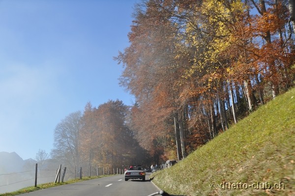 DSC_0012.jpg