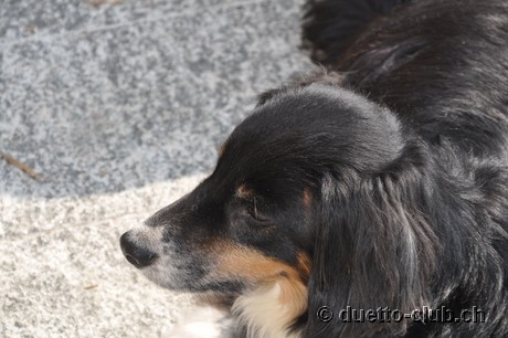 DSC_0068.jpg