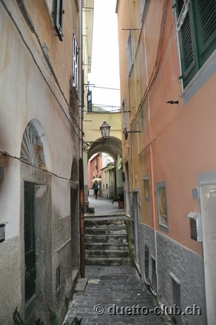 DSC_0203.jpg