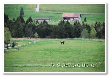 DSC_0173.jpg