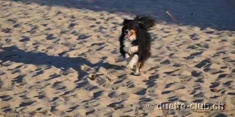 DSC_0954.jpg