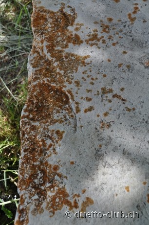 DSC_0605.jpg