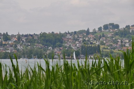 DSC_0100.jpg