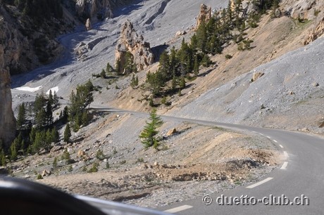 DSC_1270.jpg