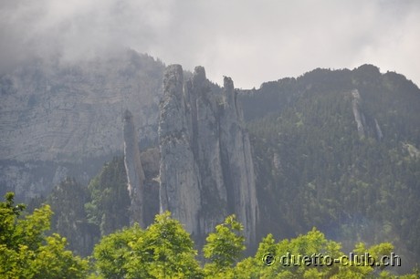 DSC_0310.jpg