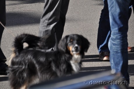 DSC_0211.jpg