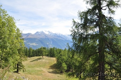 DSC_0167.jpg