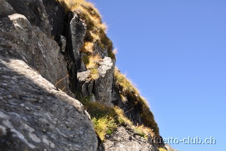 DSC_0442.jpg