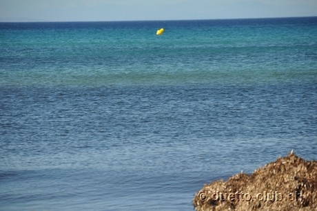 DSC_0918.jpg