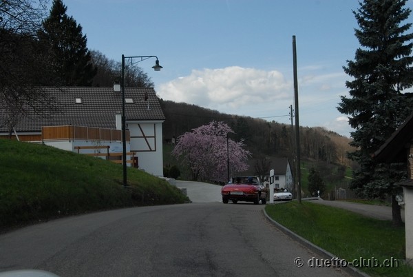 DSC_6653.jpg