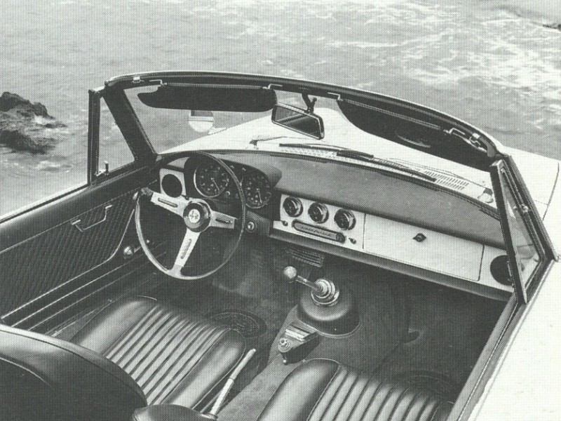 spider1600-3.jpg