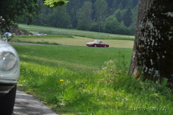 DSC_0216.jpg