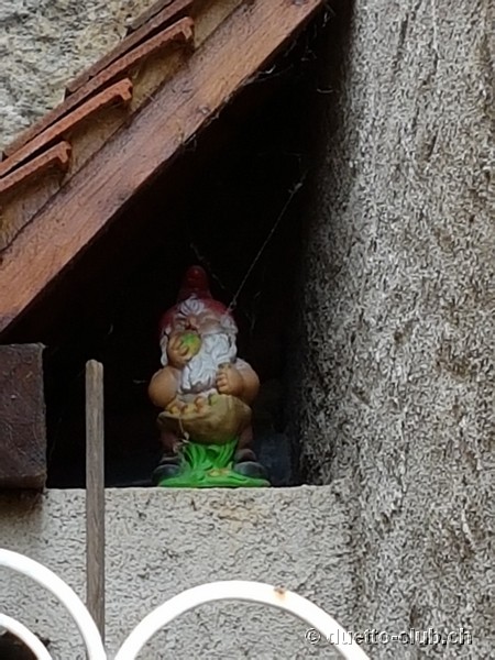 20160914_102734.jpg