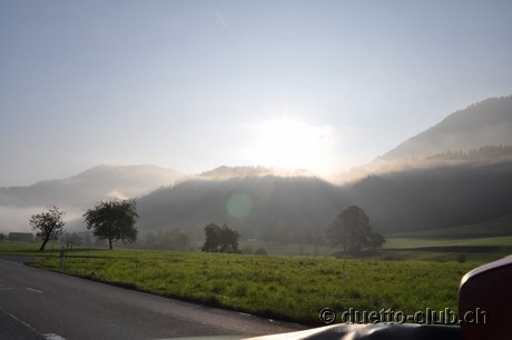 DSC_0019.jpg
