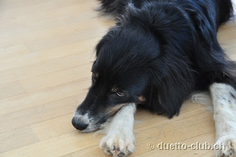 DSC_0006.jpg
