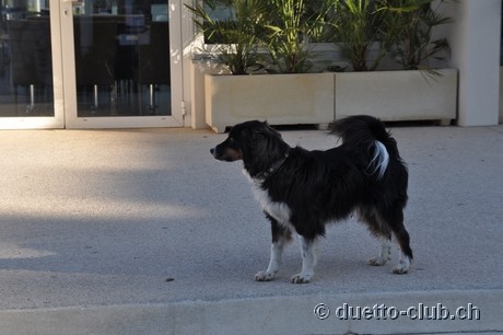 DSC_0809.jpg