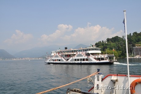 DSC_0121.jpg